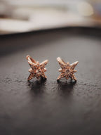 Stellar Surgical Steel Earrings