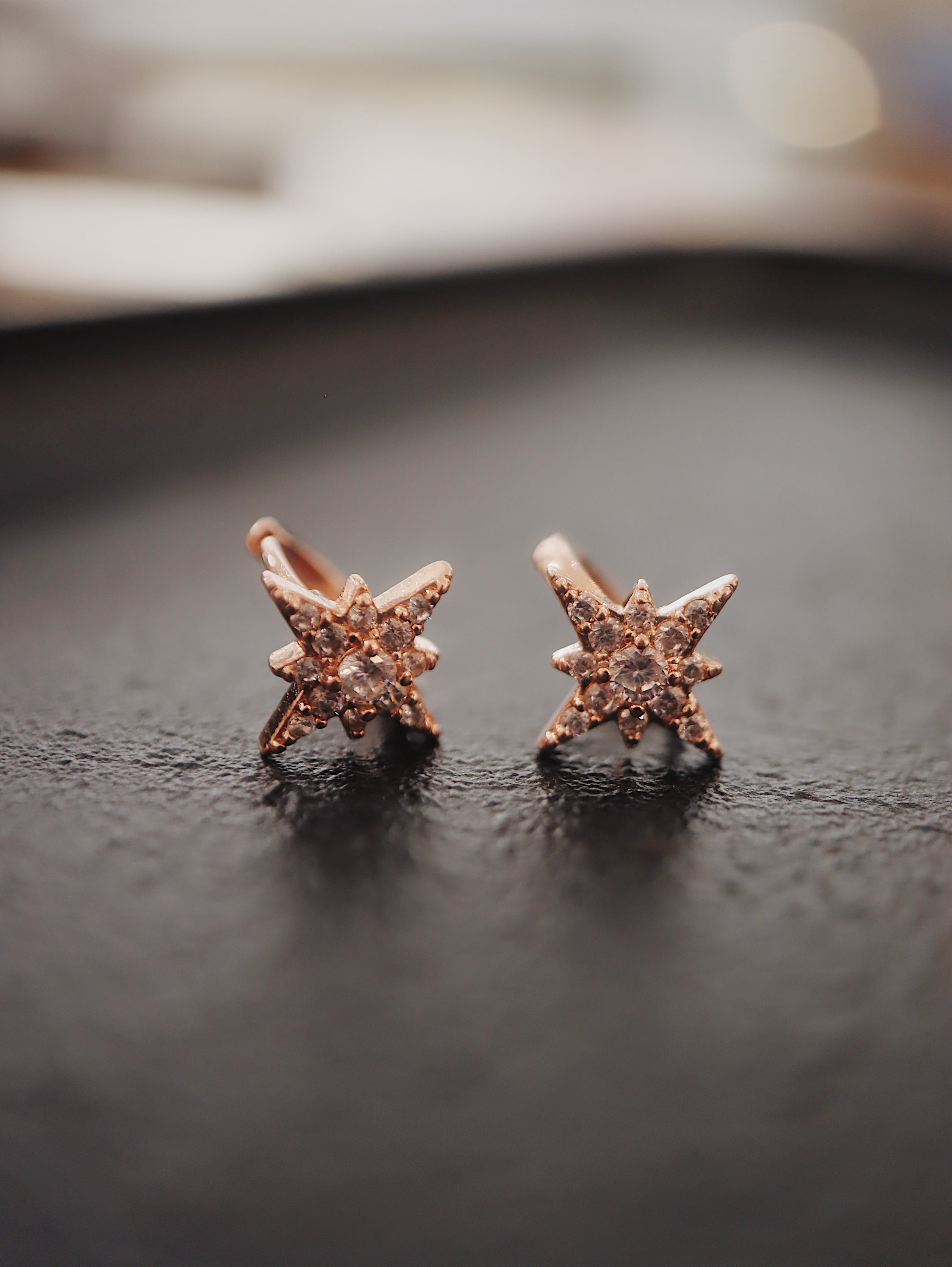 Stellar Surgical Steel Earrings