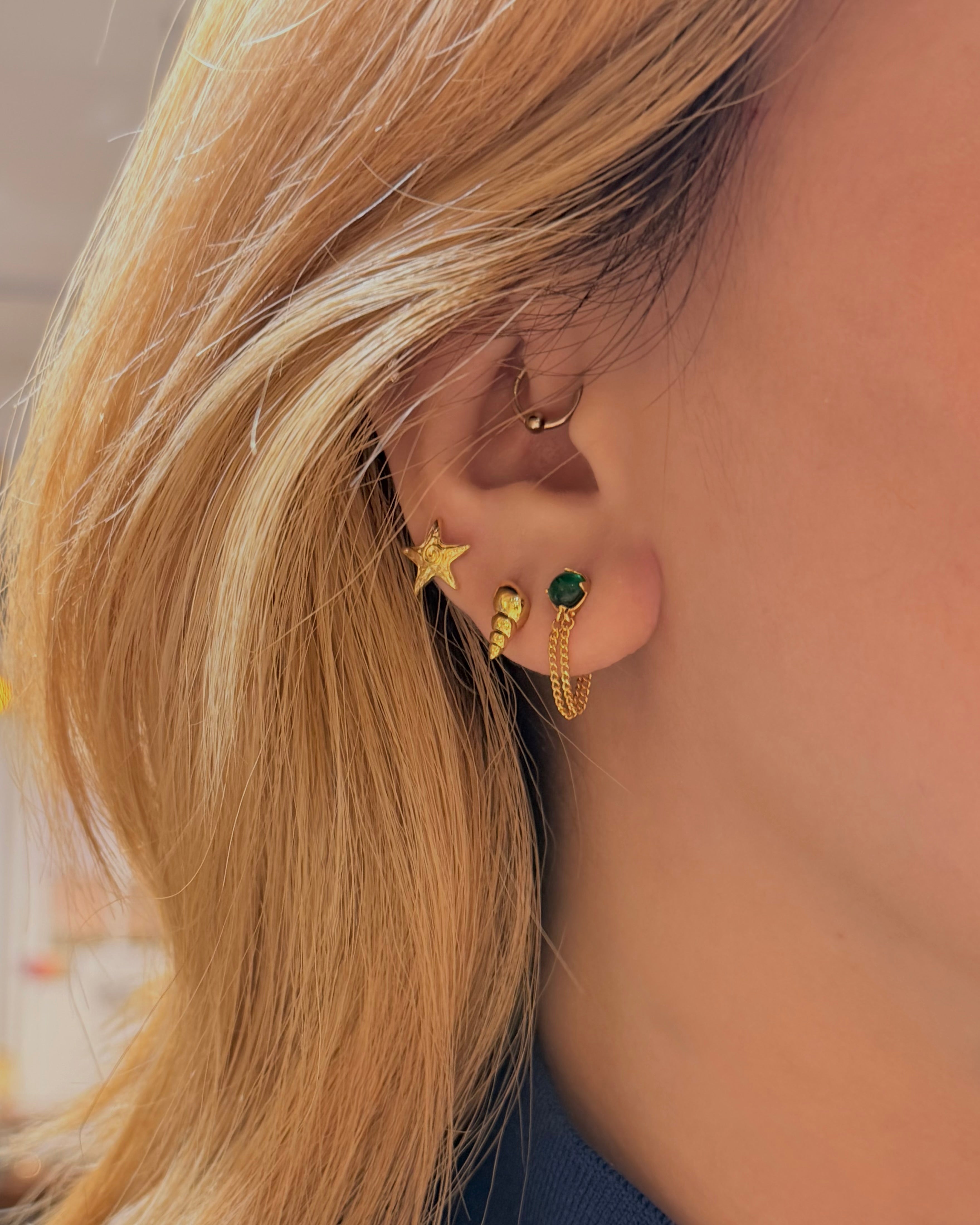 Conch Stud Brass Earrings