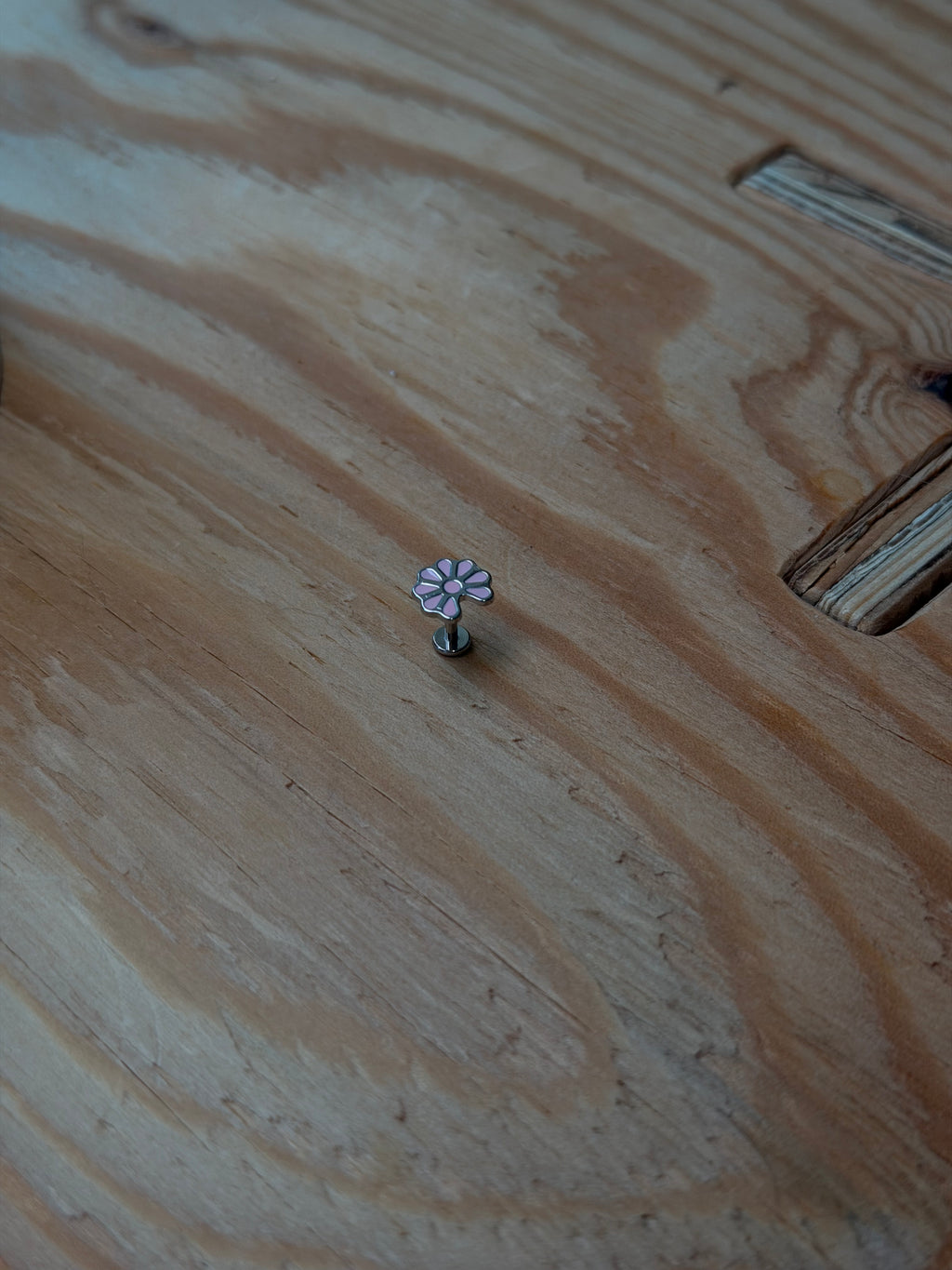 Daisy screw flat back stainless steel
