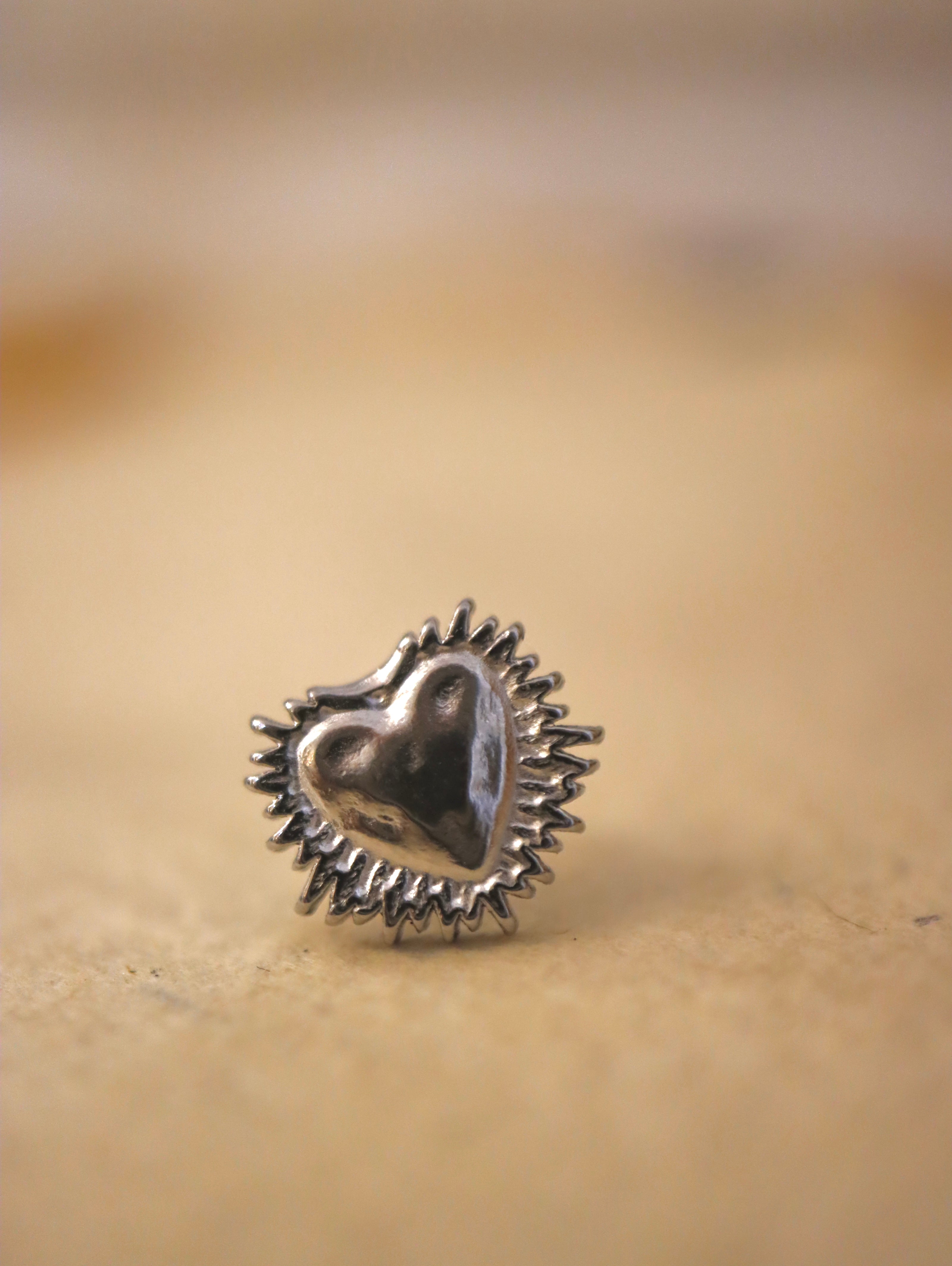 Heart stainless steel earrings