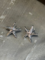 Starfish brass earrings