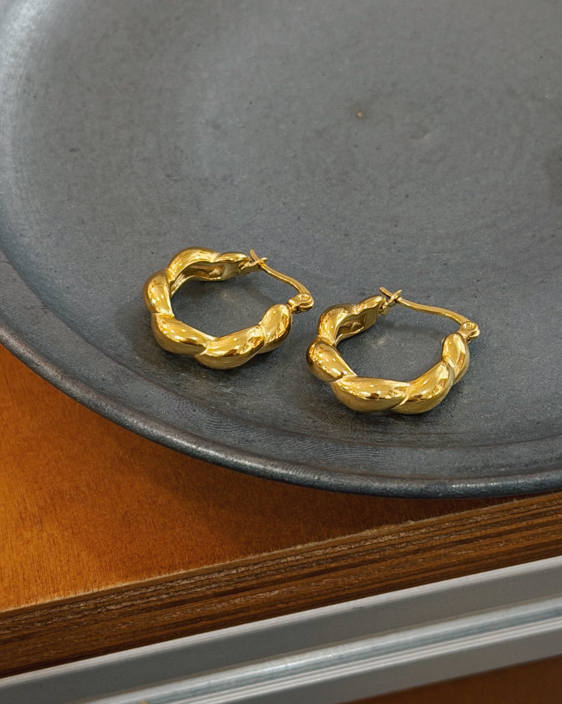 Stainless steel earrings