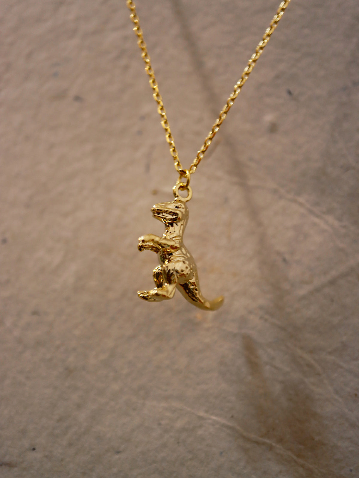 🦖 Brass Necklace