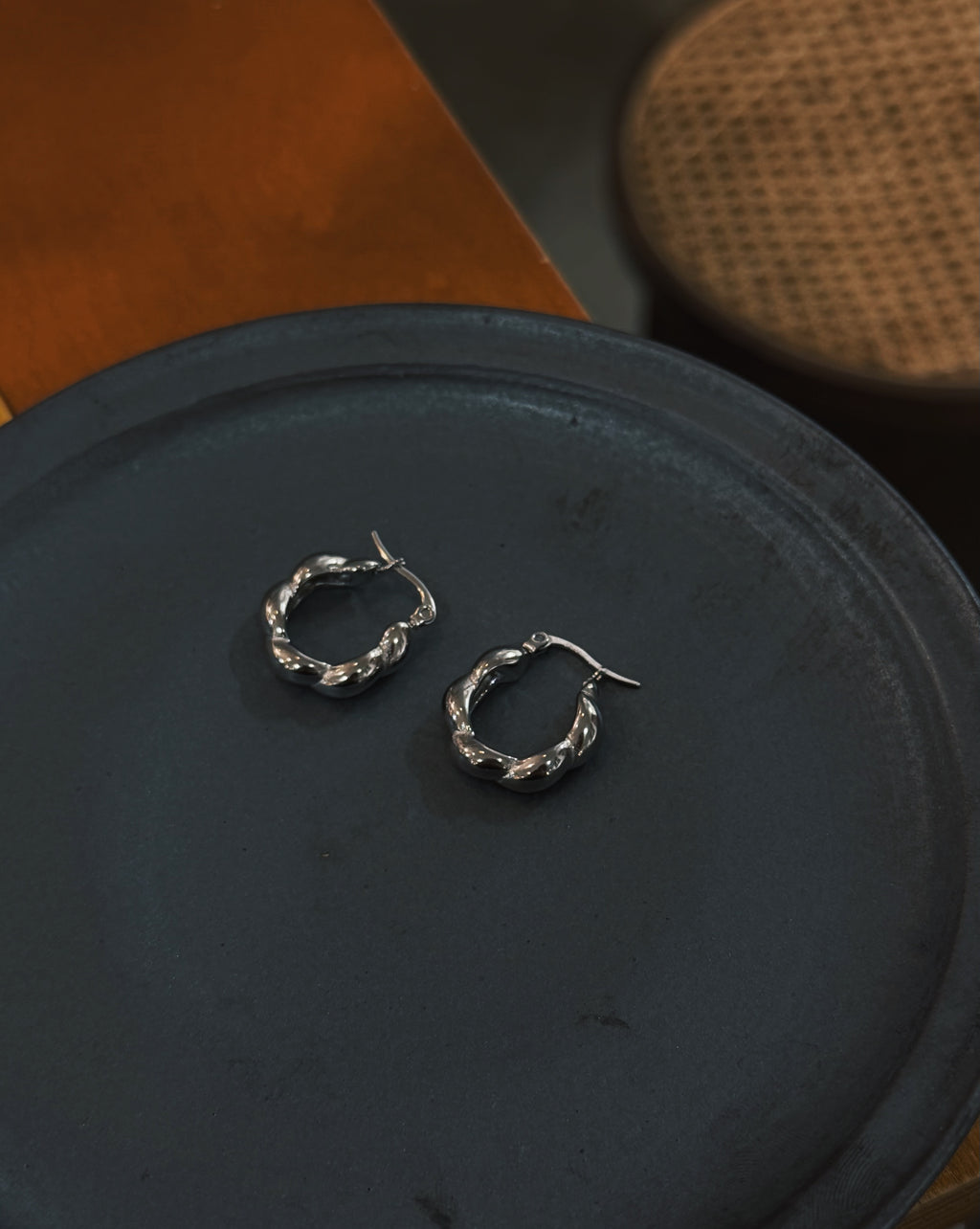 Stainless steel earrings