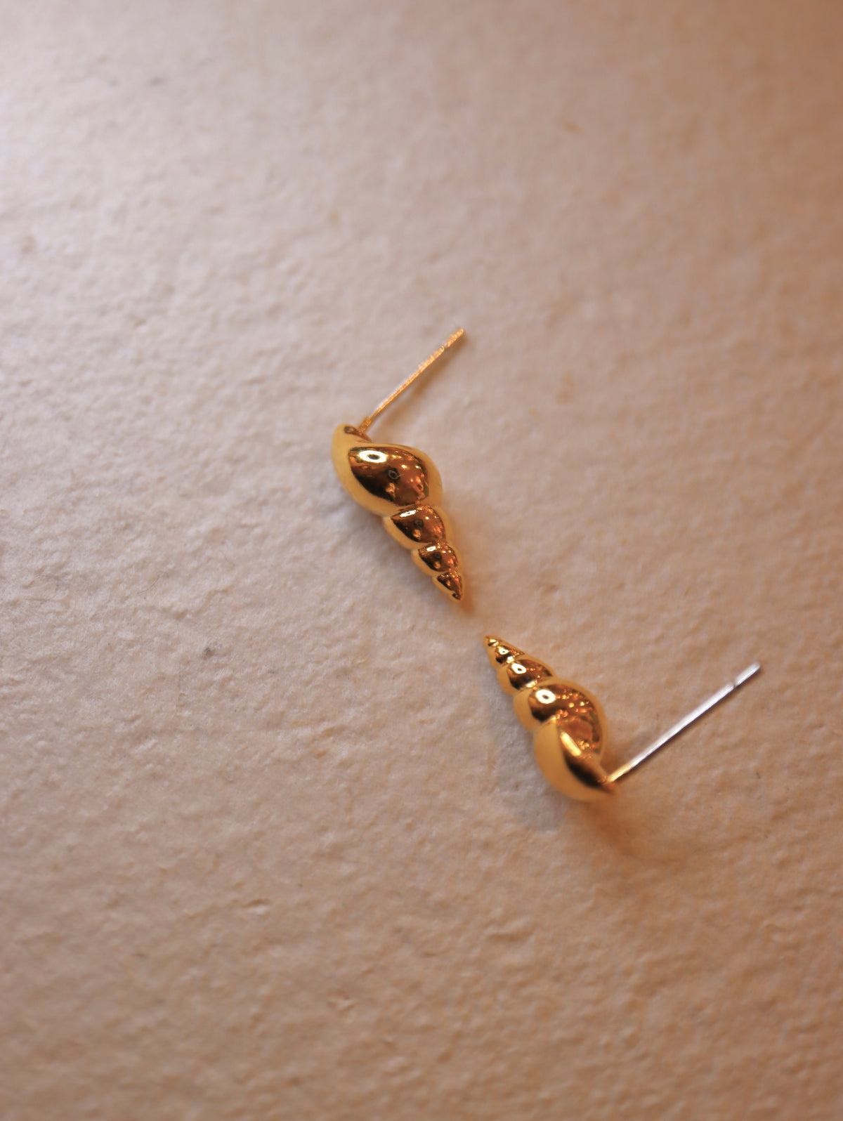 Conch Stud Brass Earrings