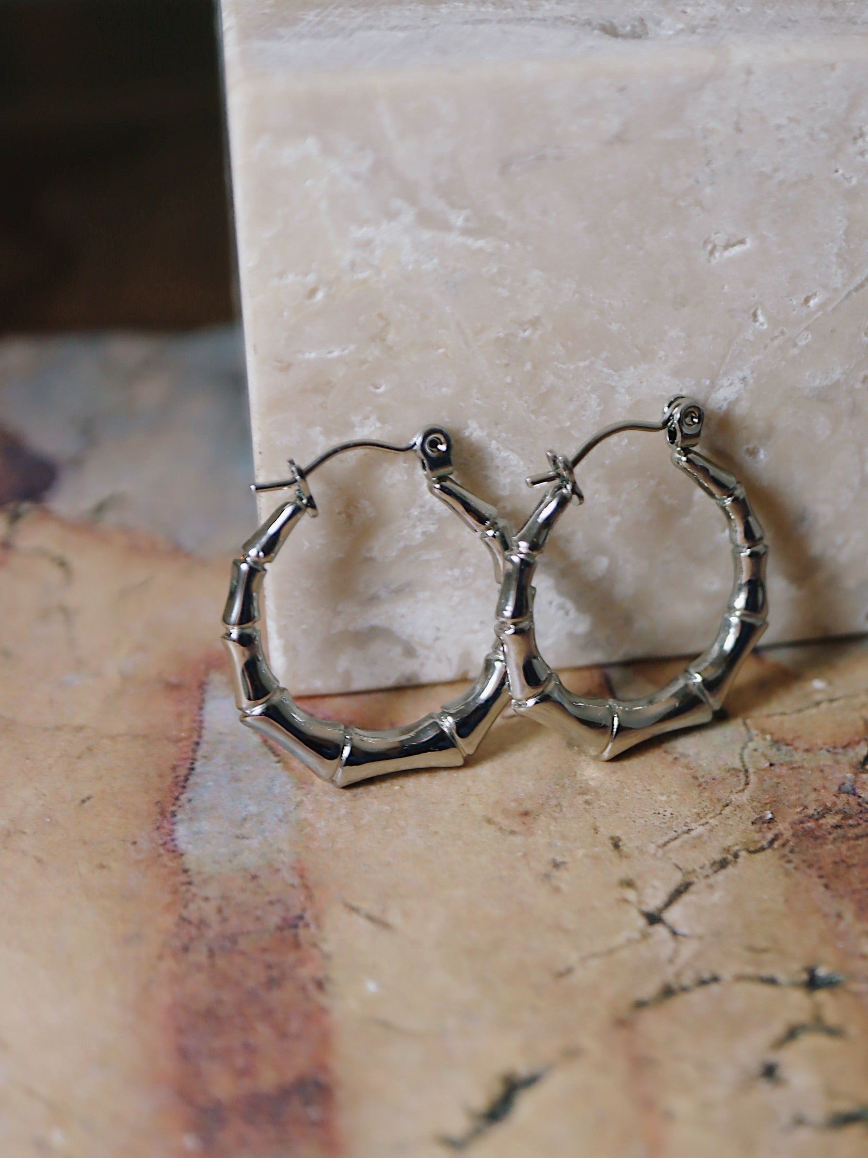 Bamboo stainless steel earrings