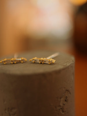 Lumeire silver925 earrings