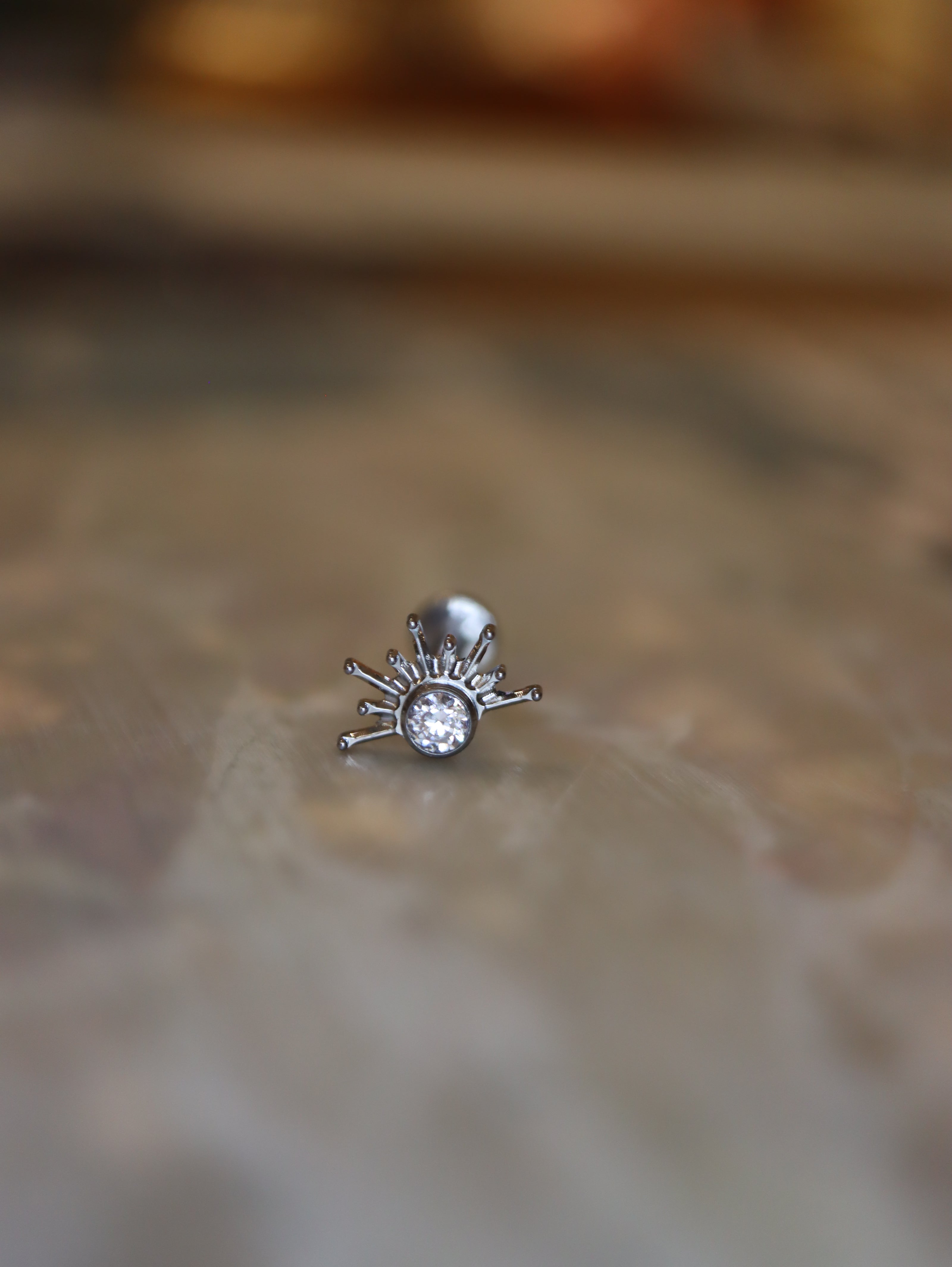 Titanium G23 Bezel Round Spike Crown Stud
