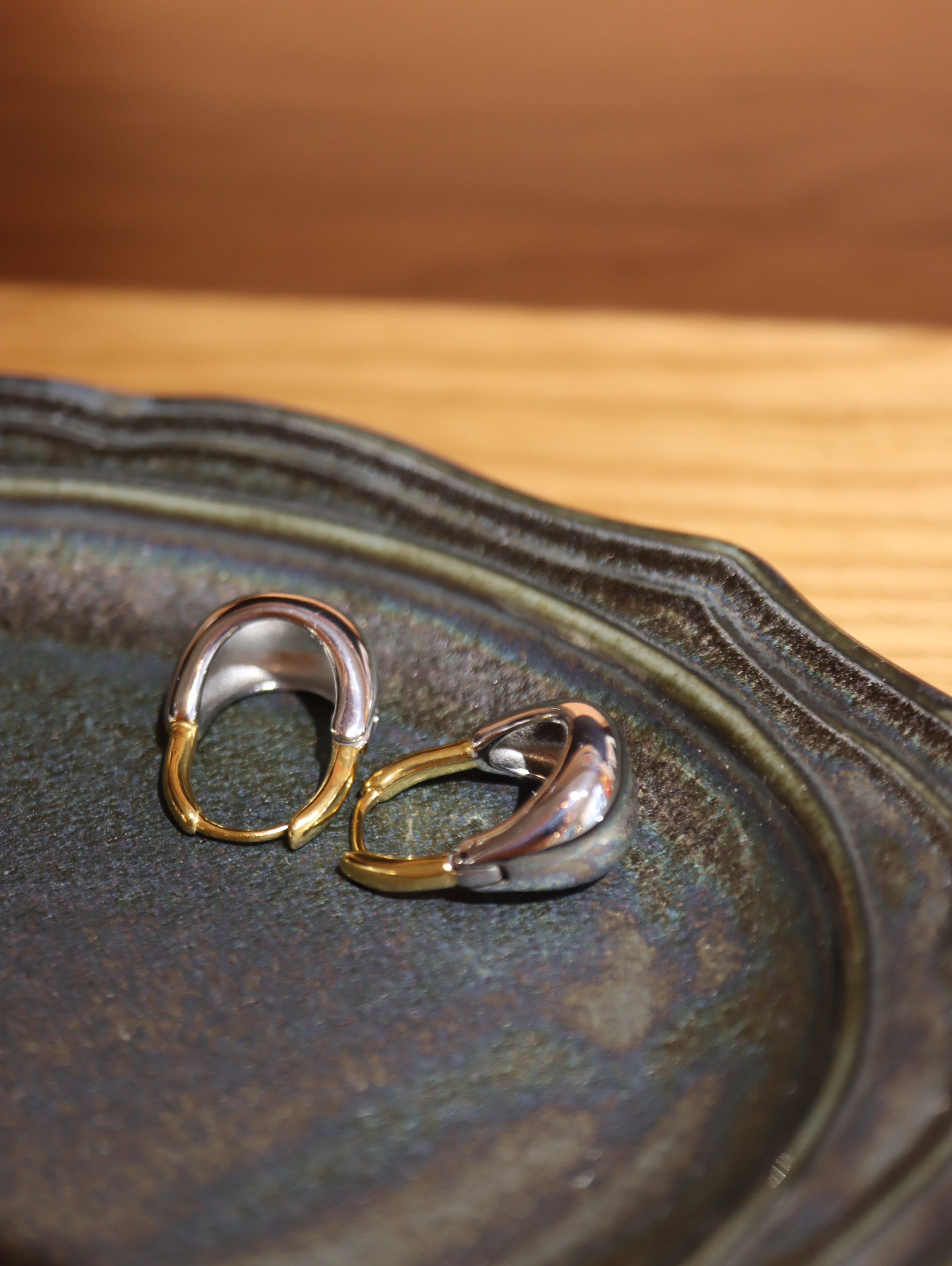 Mix tone stainless steel earrings