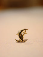 Crescent star surgical steel piercing