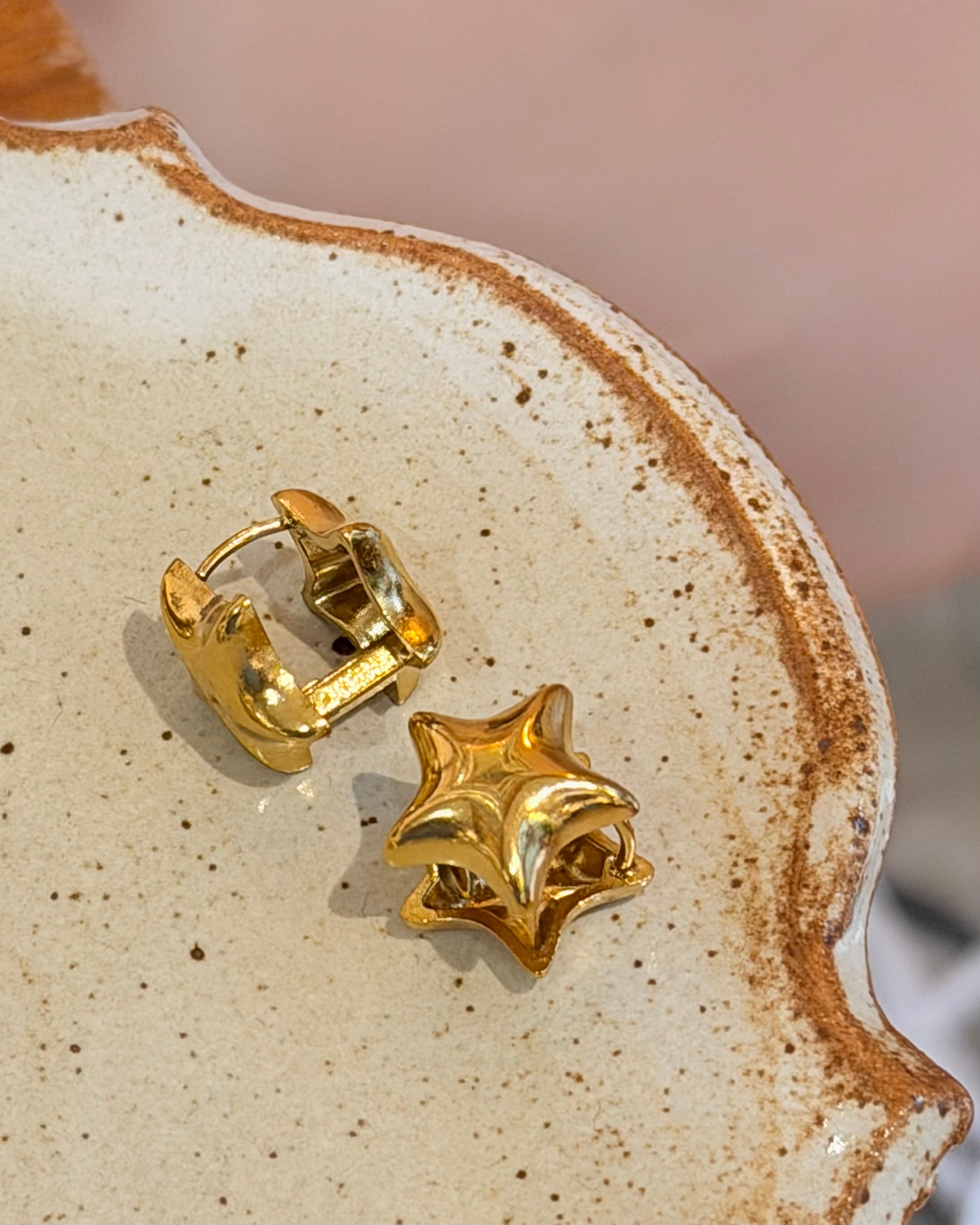 Echo star hoop stainless steel earrings