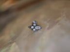 Titanium G23 Trinity Marquise Cluster Stud Earring Piercing (1pc)