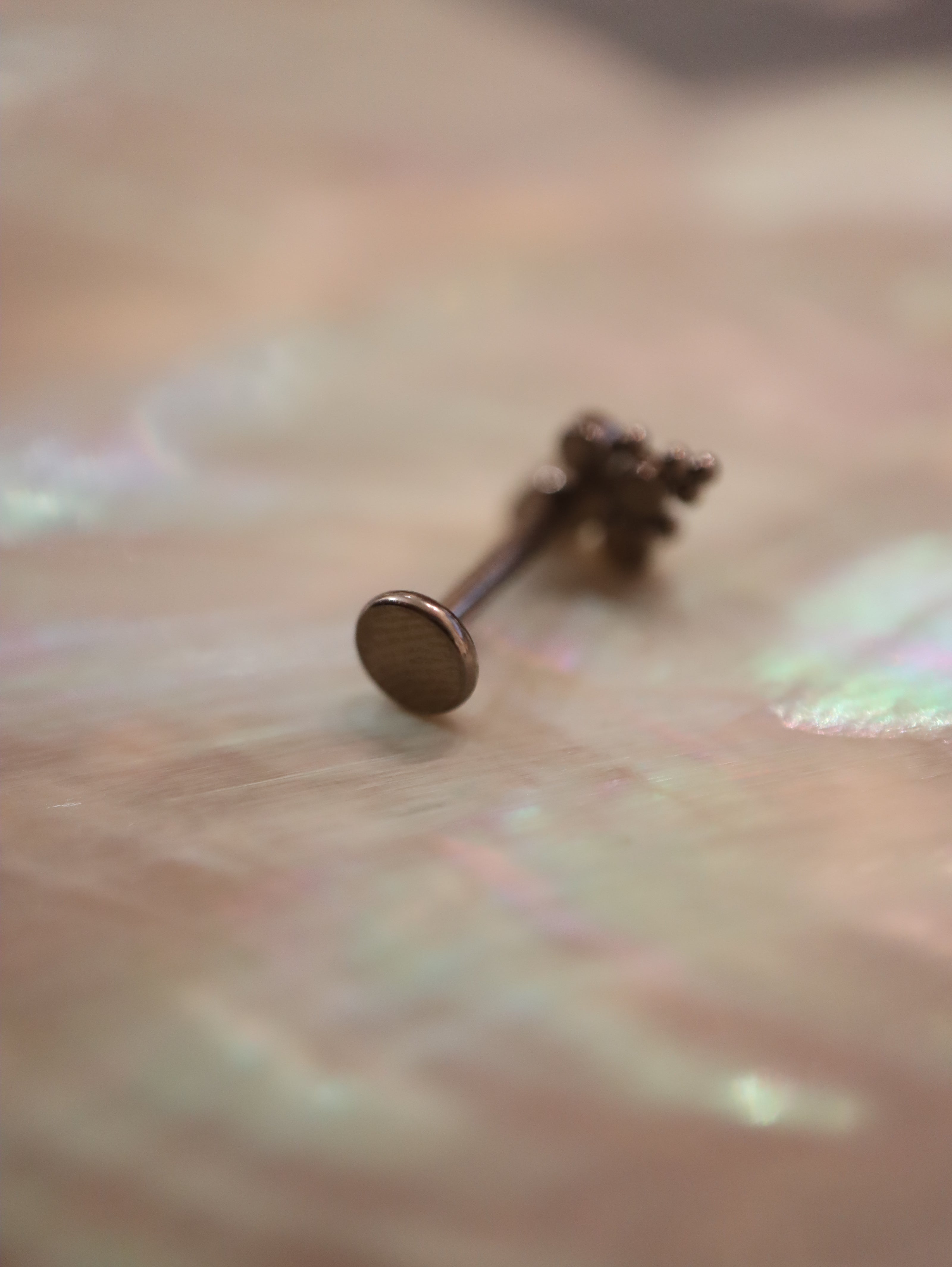 Titanium G23 Trinity Marquise Cluster Stud Earring
