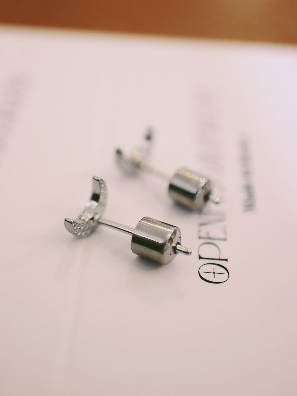 Crescent stainless steel earrings