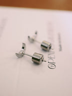 Crescent stainless steel earrings