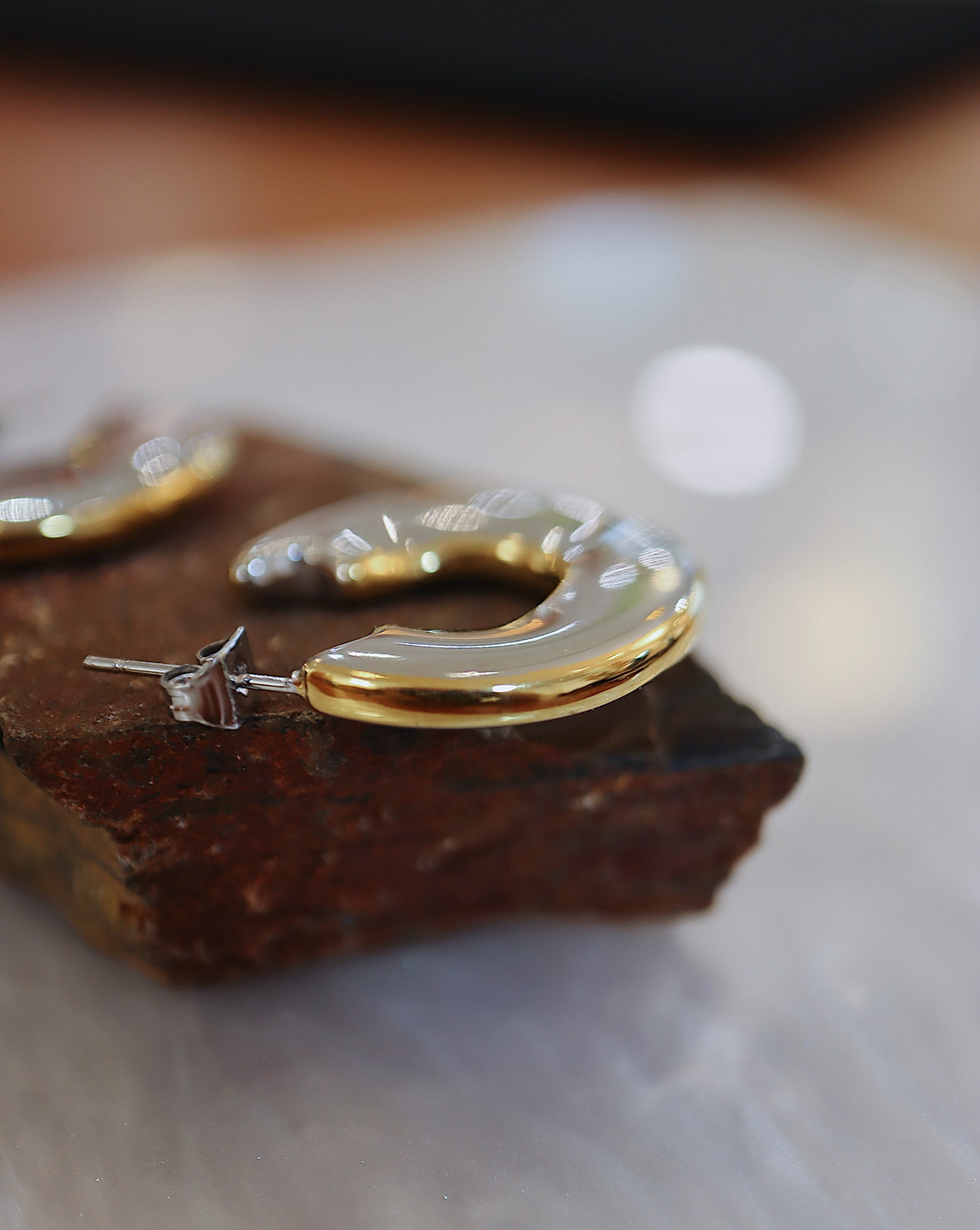 Two tone shiny stainless steel earrings