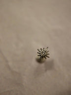 Push-pin Starburst stainless steel flat back earrings