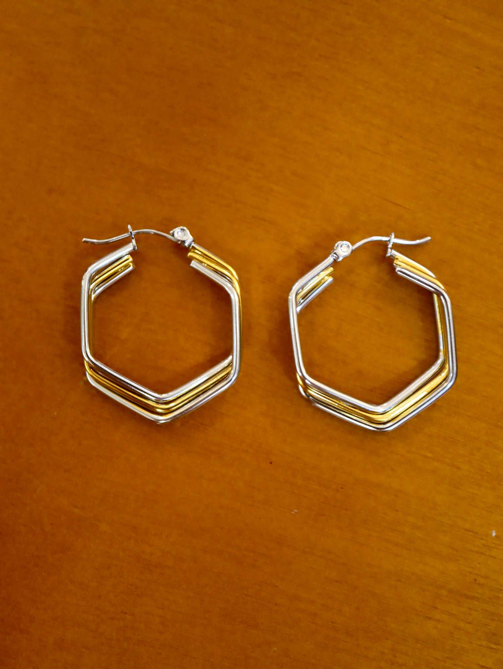 Hexagon stainless steel mix tone earrings