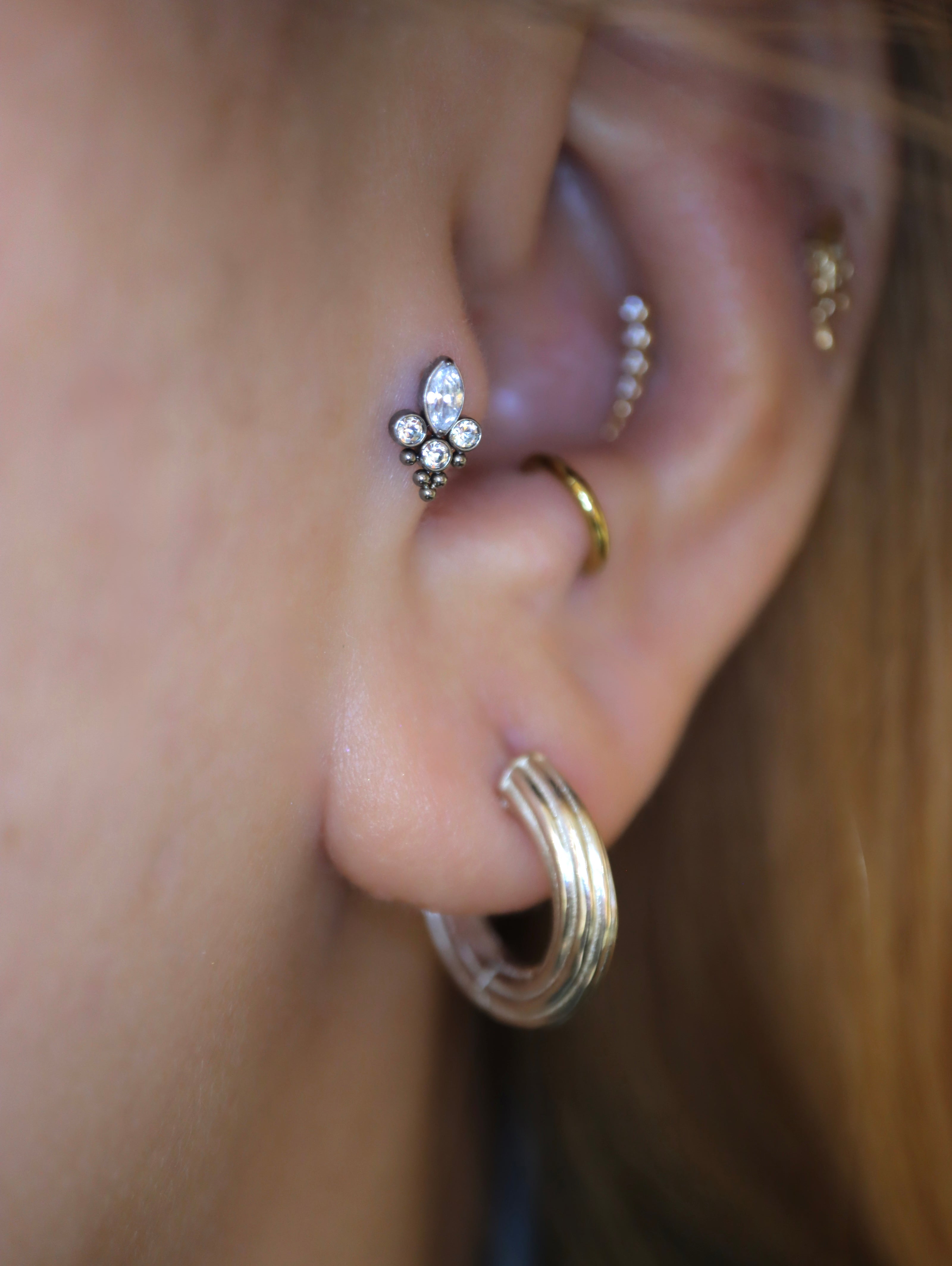 Titanium G23 Trinity Marquise Cluster Stud Earring