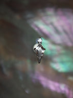Titanium G23 Kite & Round Accent Stud Piercing (1pc)