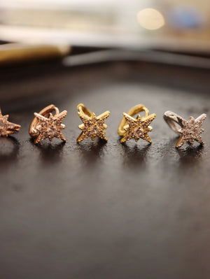 Stellar Surgical Steel Earrings