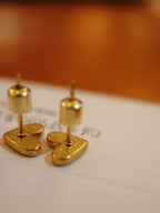 Sparkling heart stainless steel earrings