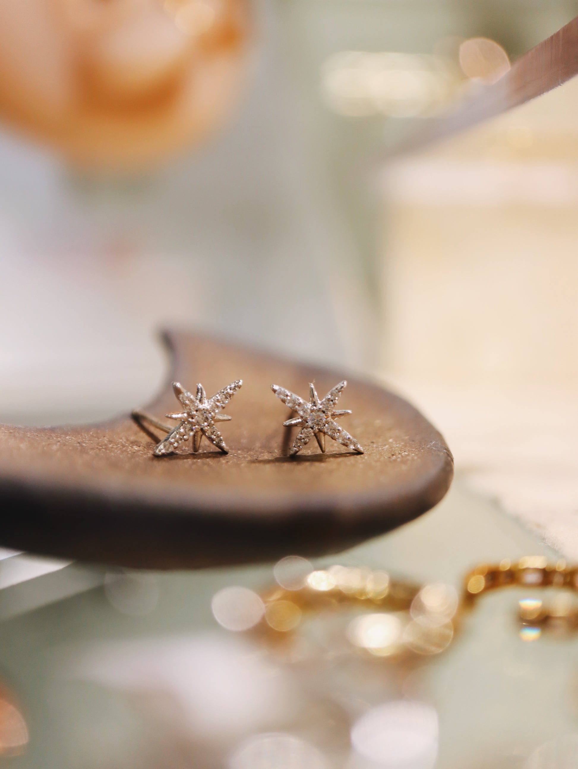 Starburst silver925 earrings