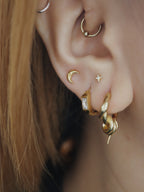 Crescent stainless steel earrings