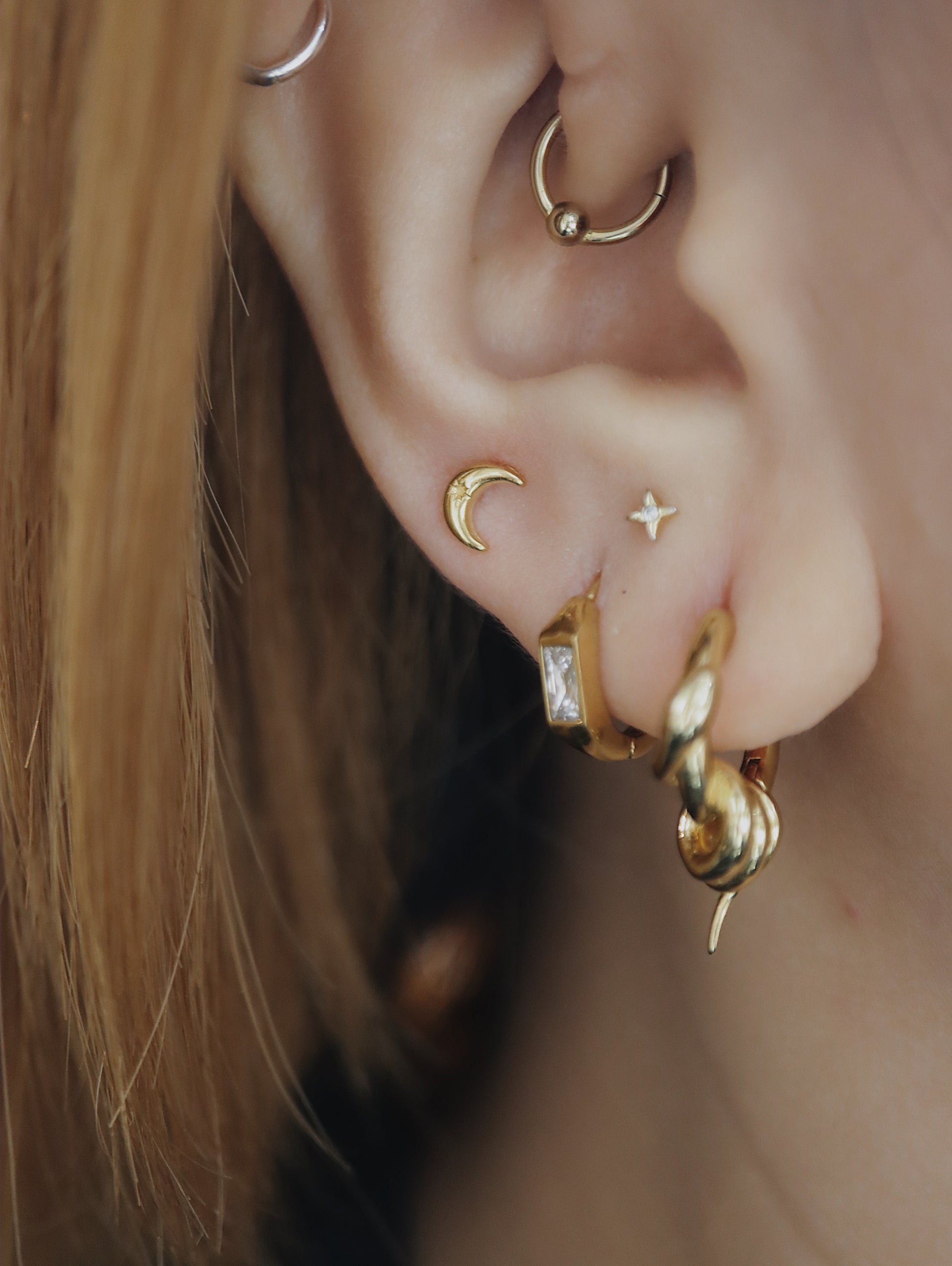 Crescent stainless steel earrings