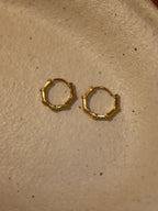 Bamboo Joint Stainless Steel Hoop Earrings