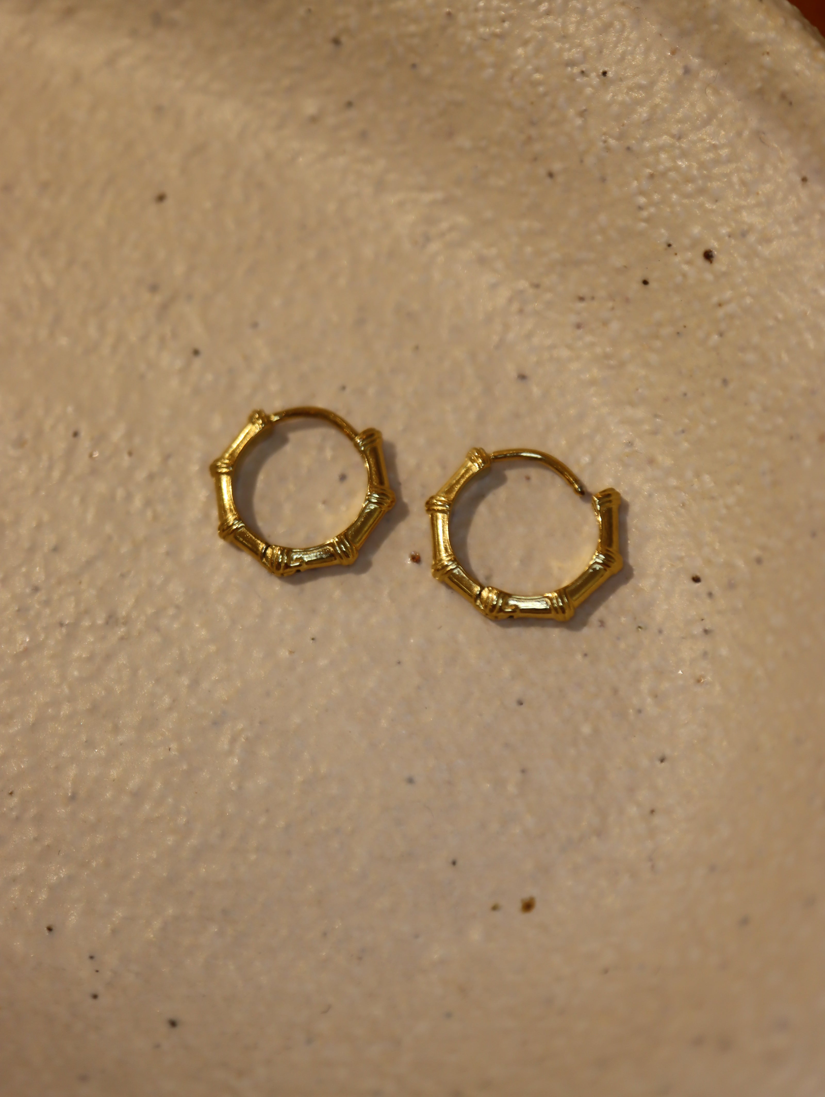 Bamboo Joint Stainless Steel Hoop Earrings