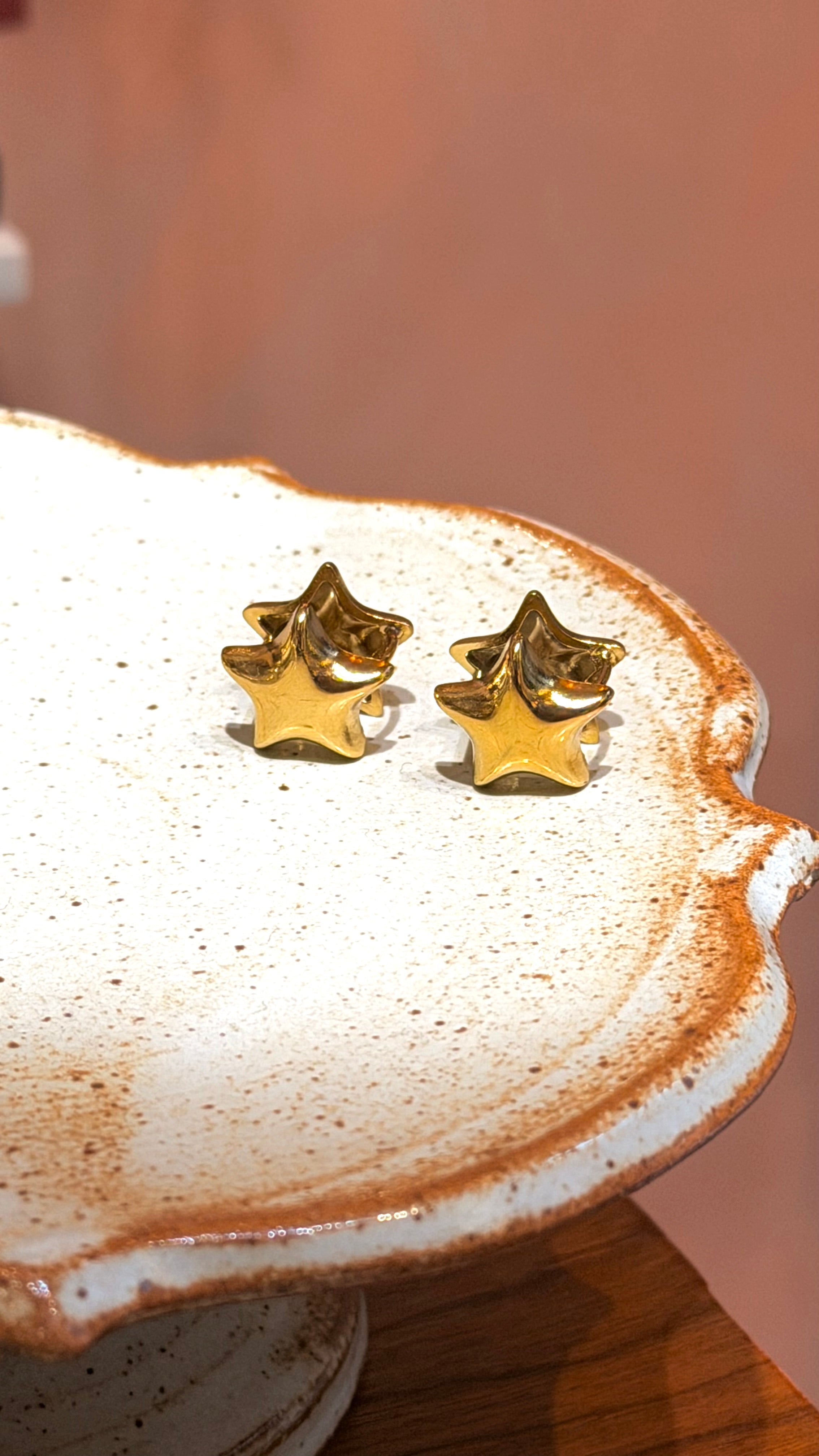 Echo star hoop stainless steel earrings