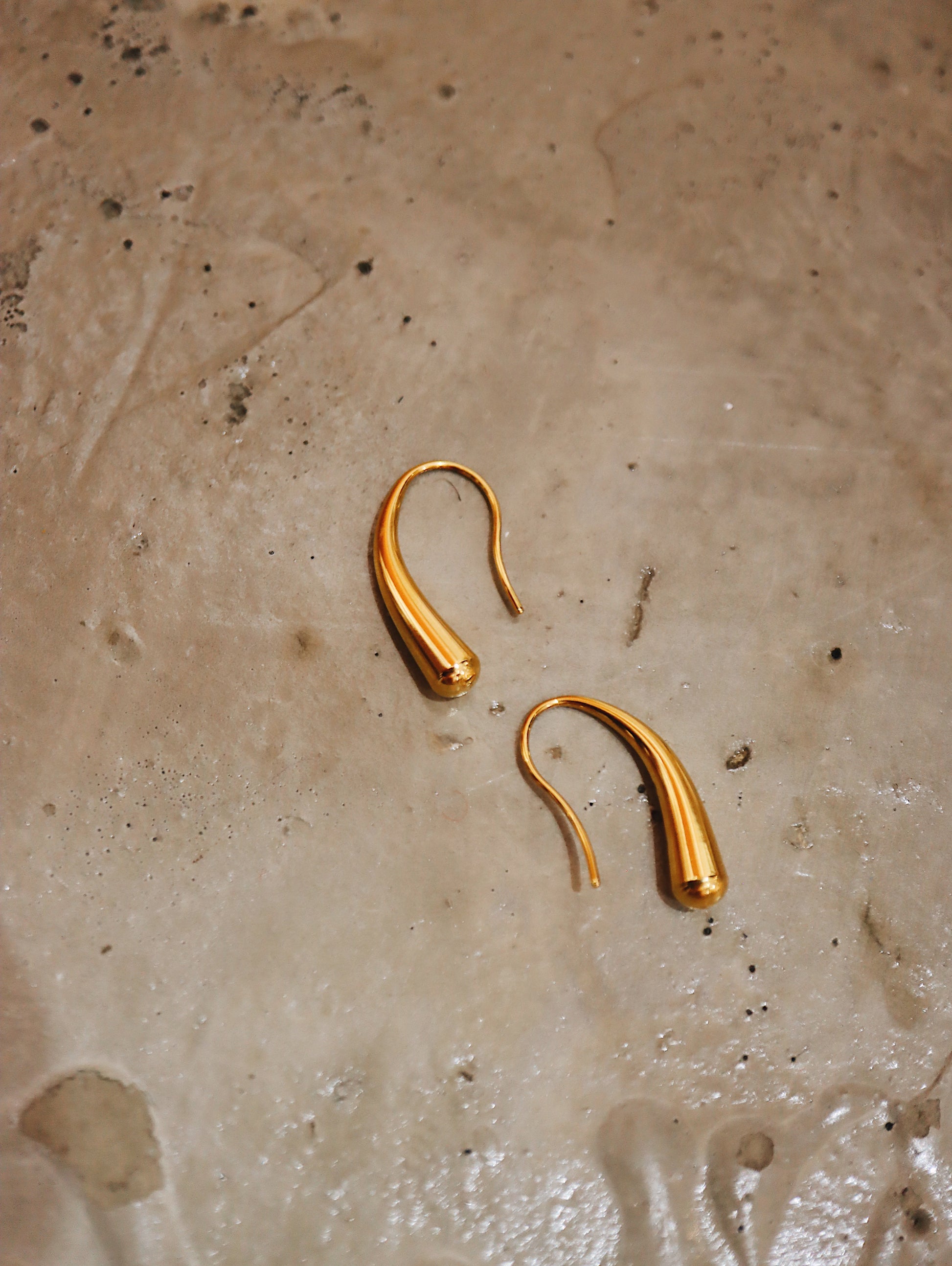 Stainless steel wire hook earrings