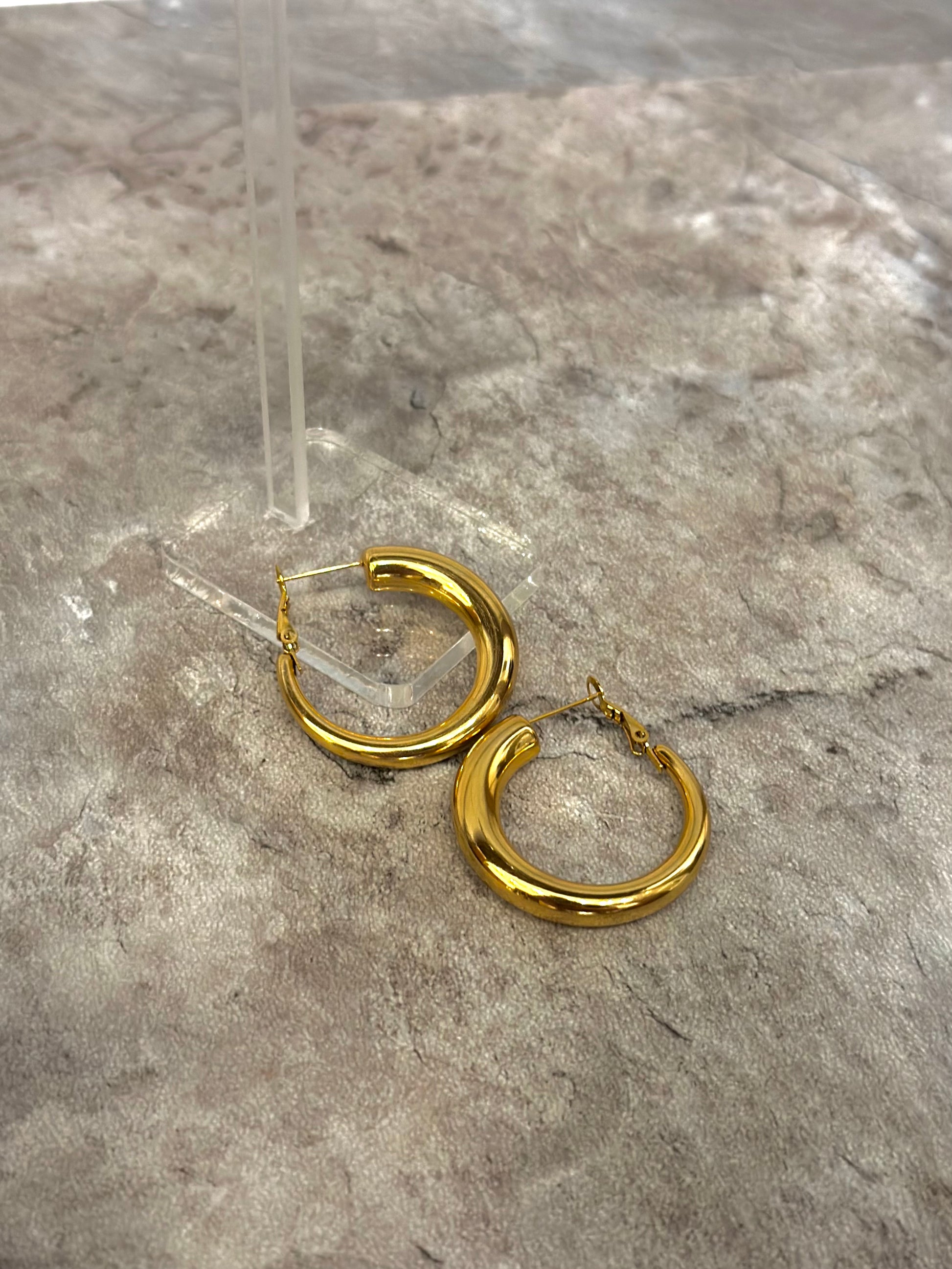 Stainless steel hoop earrings
