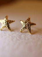 Starlight Spiral Stud Earrings