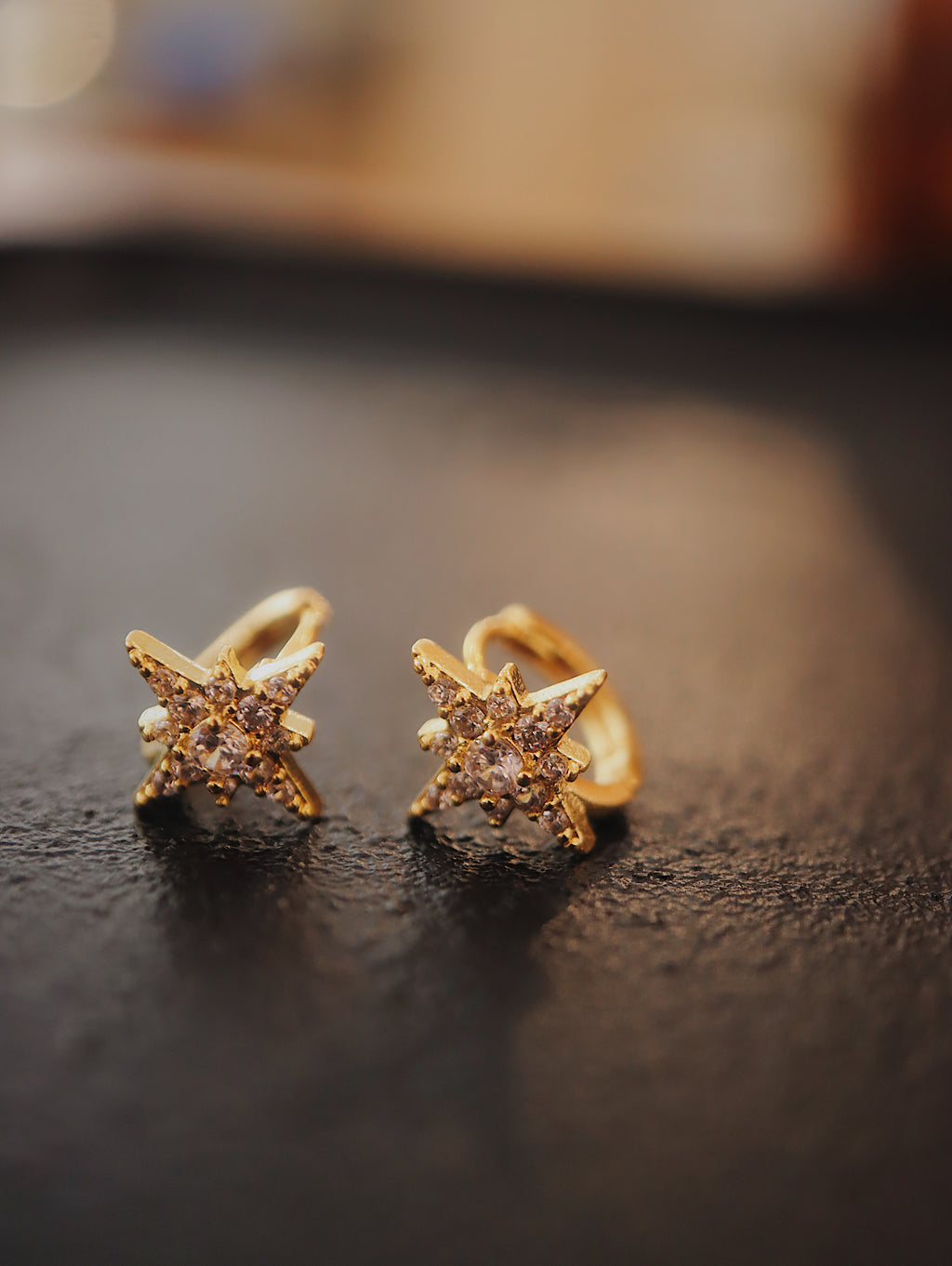 Stellar Surgical Steel Earrings