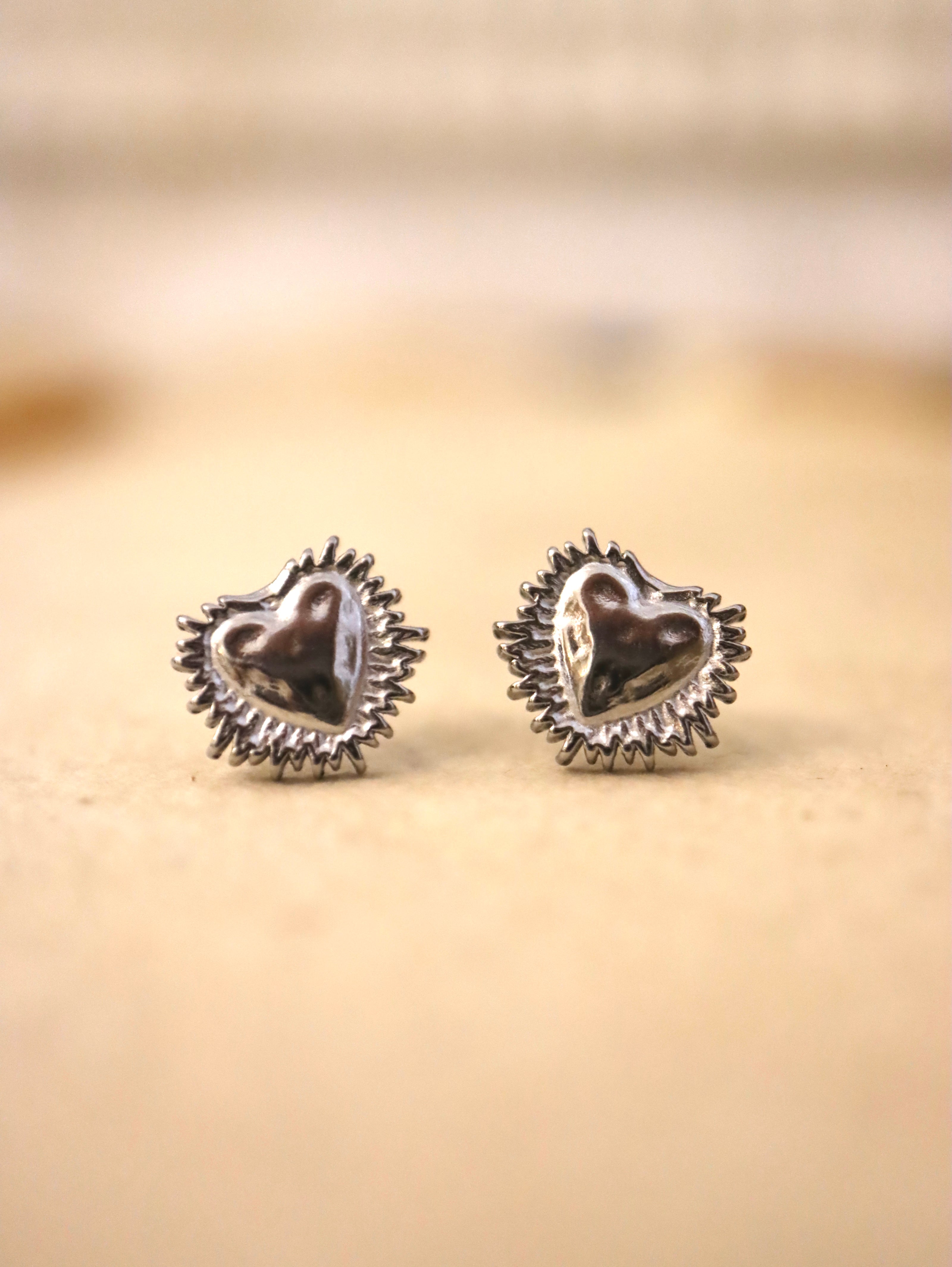 Heart stainless steel earrings