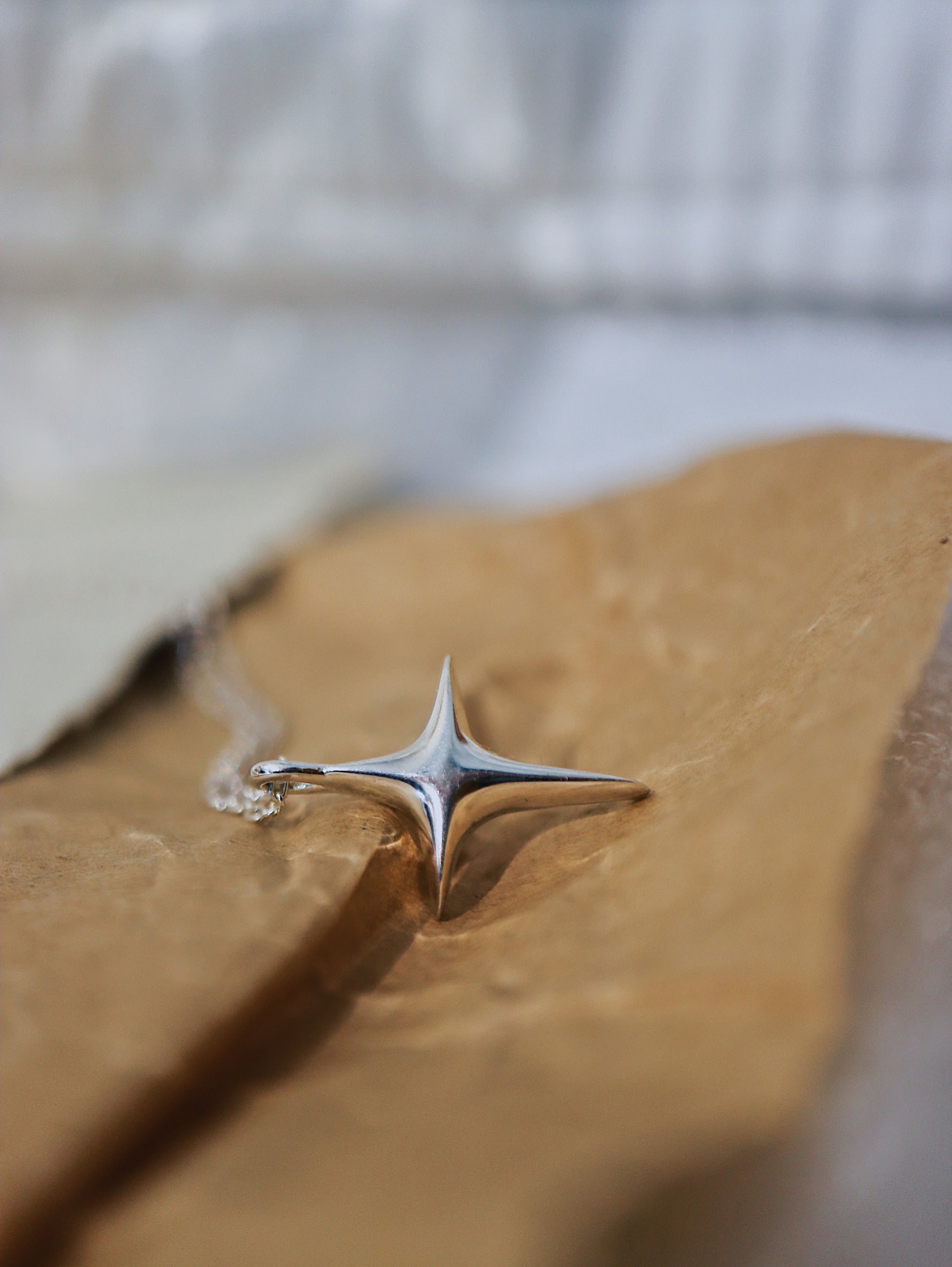 ❇️ Sparkle 925 silver necklace