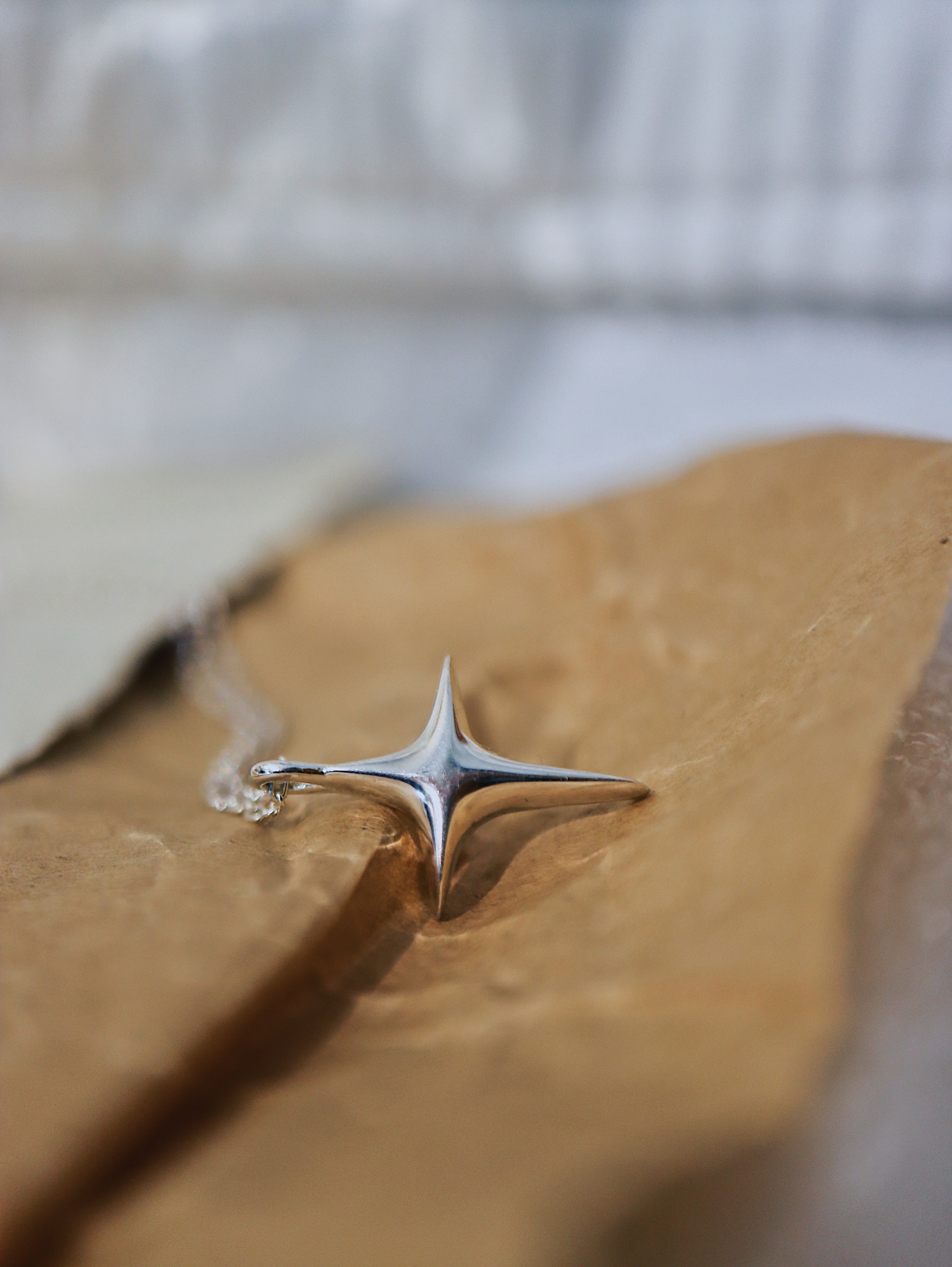 ❇️ Sparkle 925 silver necklace