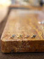 ✨ sparkle surgical steel stud piercing