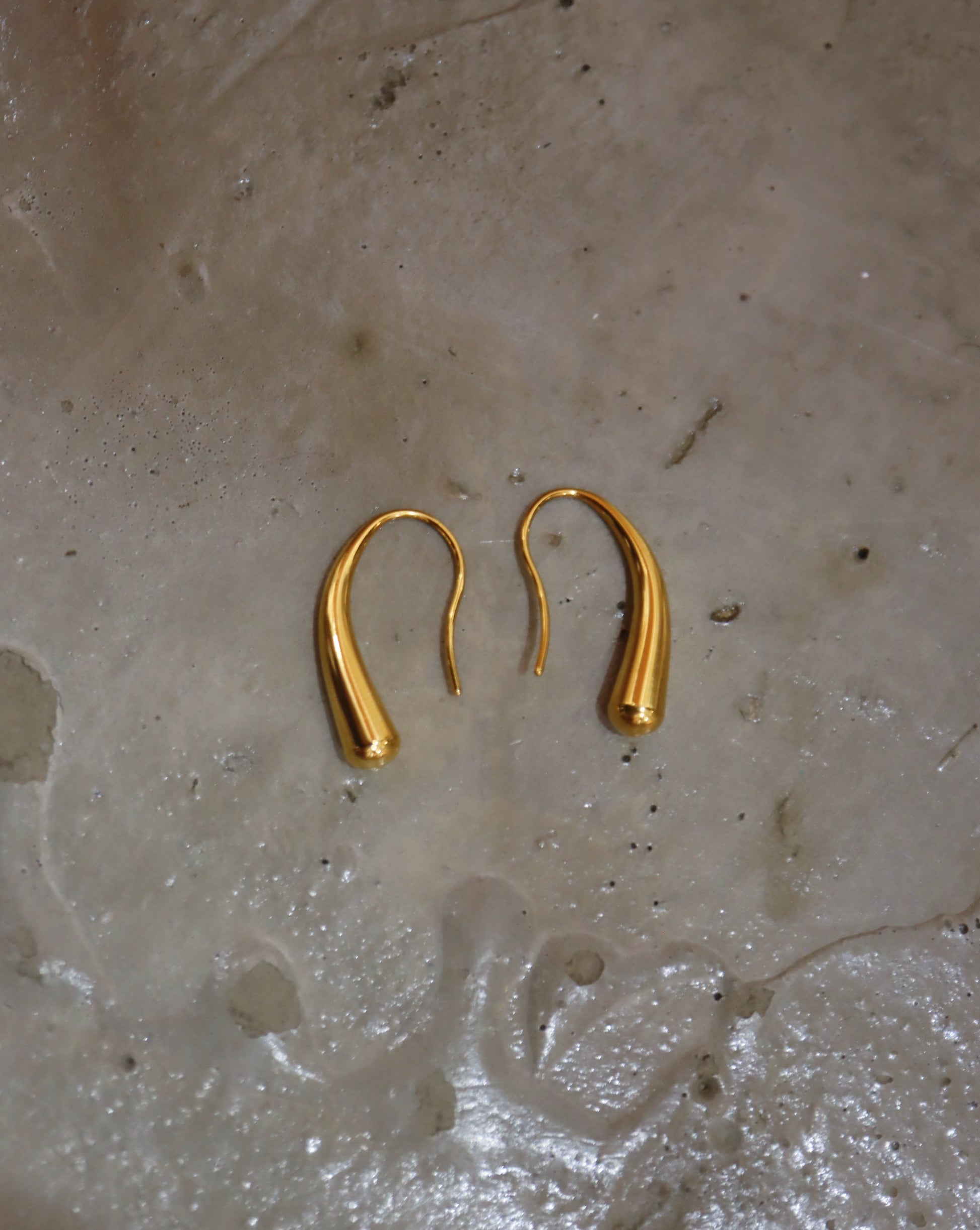 Stainless steel wire hook earrings