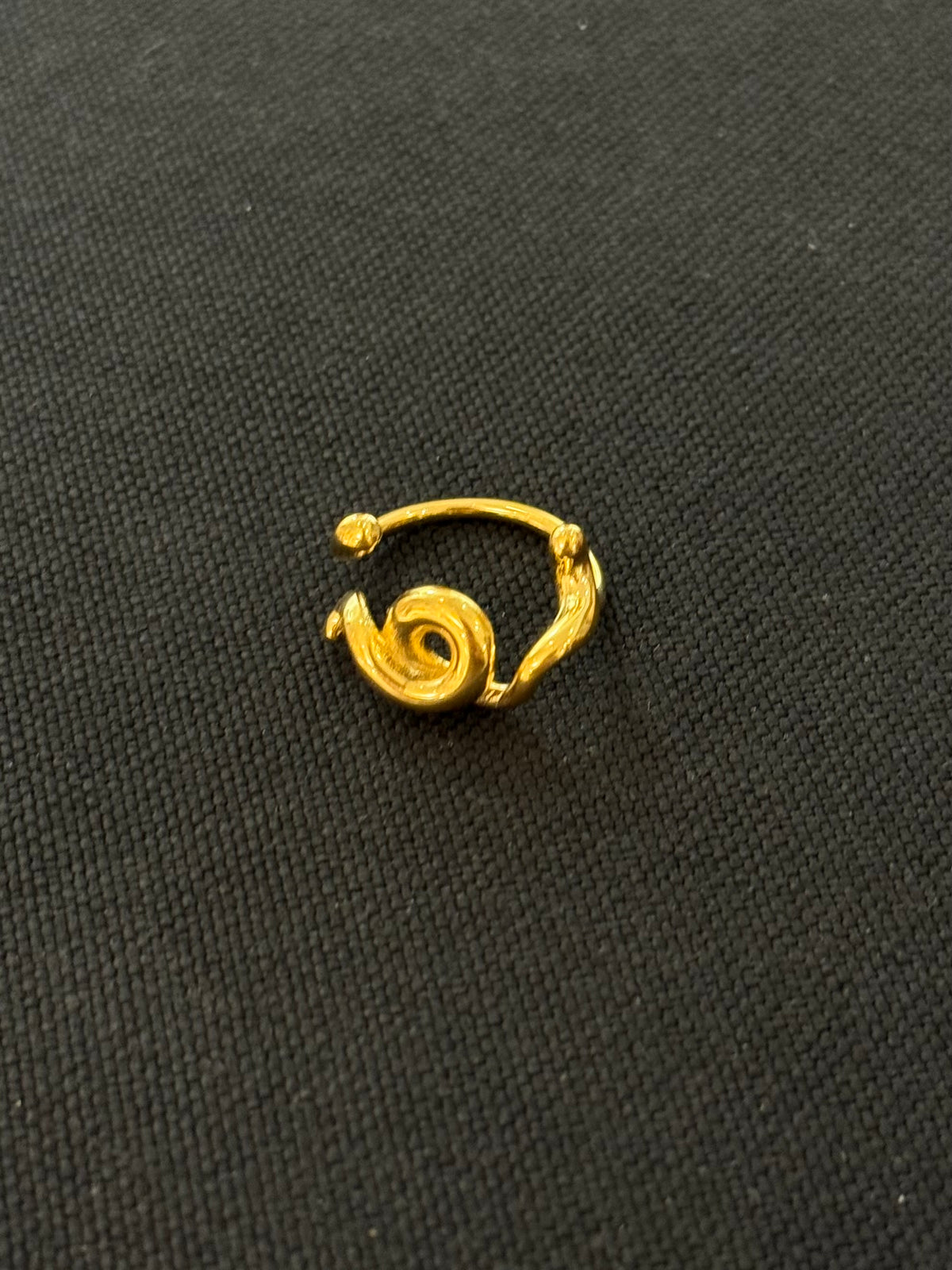 Twist orbit ring