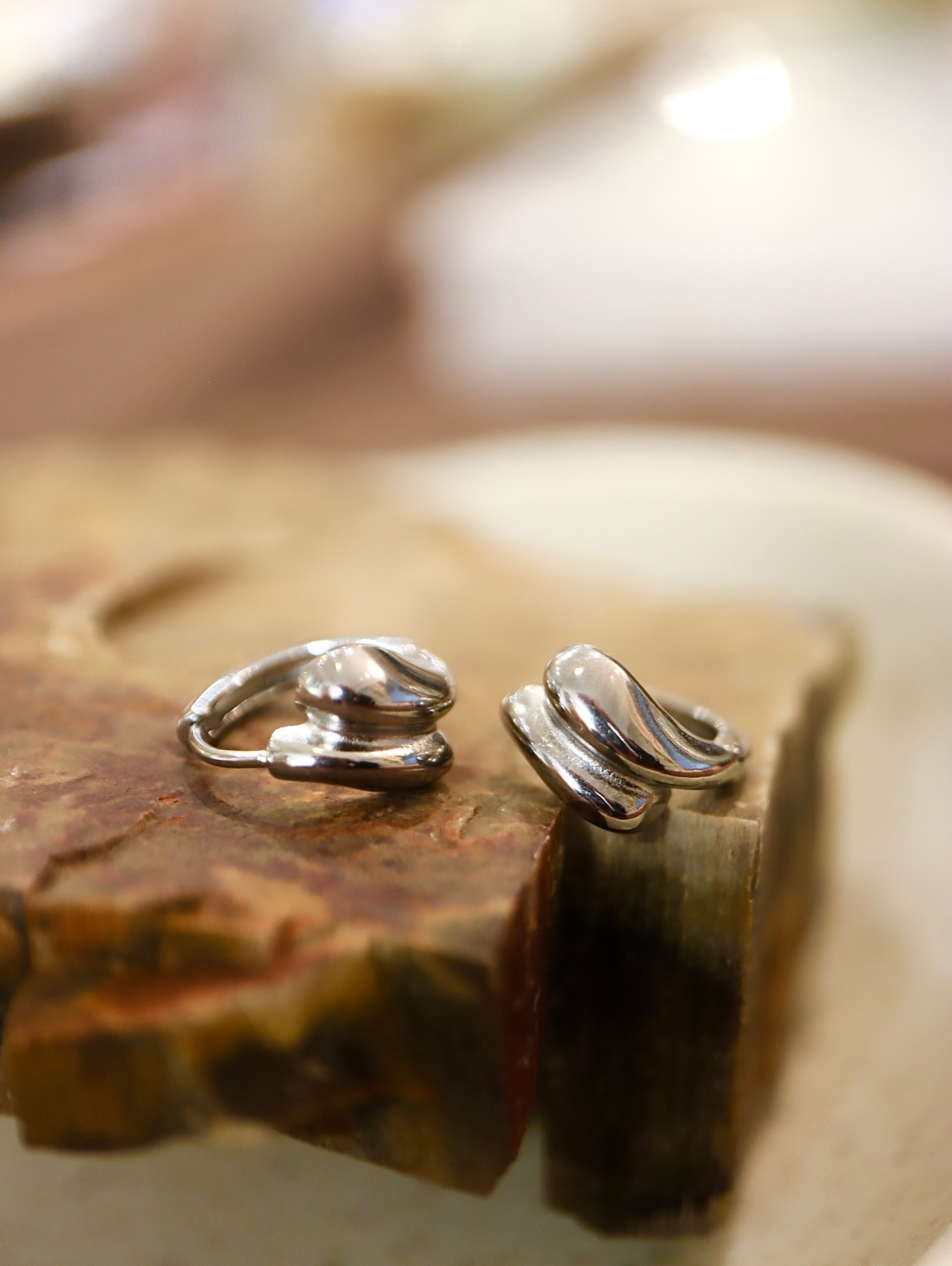Double Clasp Stainless steel earrings
