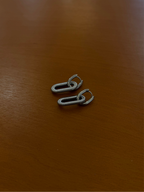 Interlock stainless steel earrings