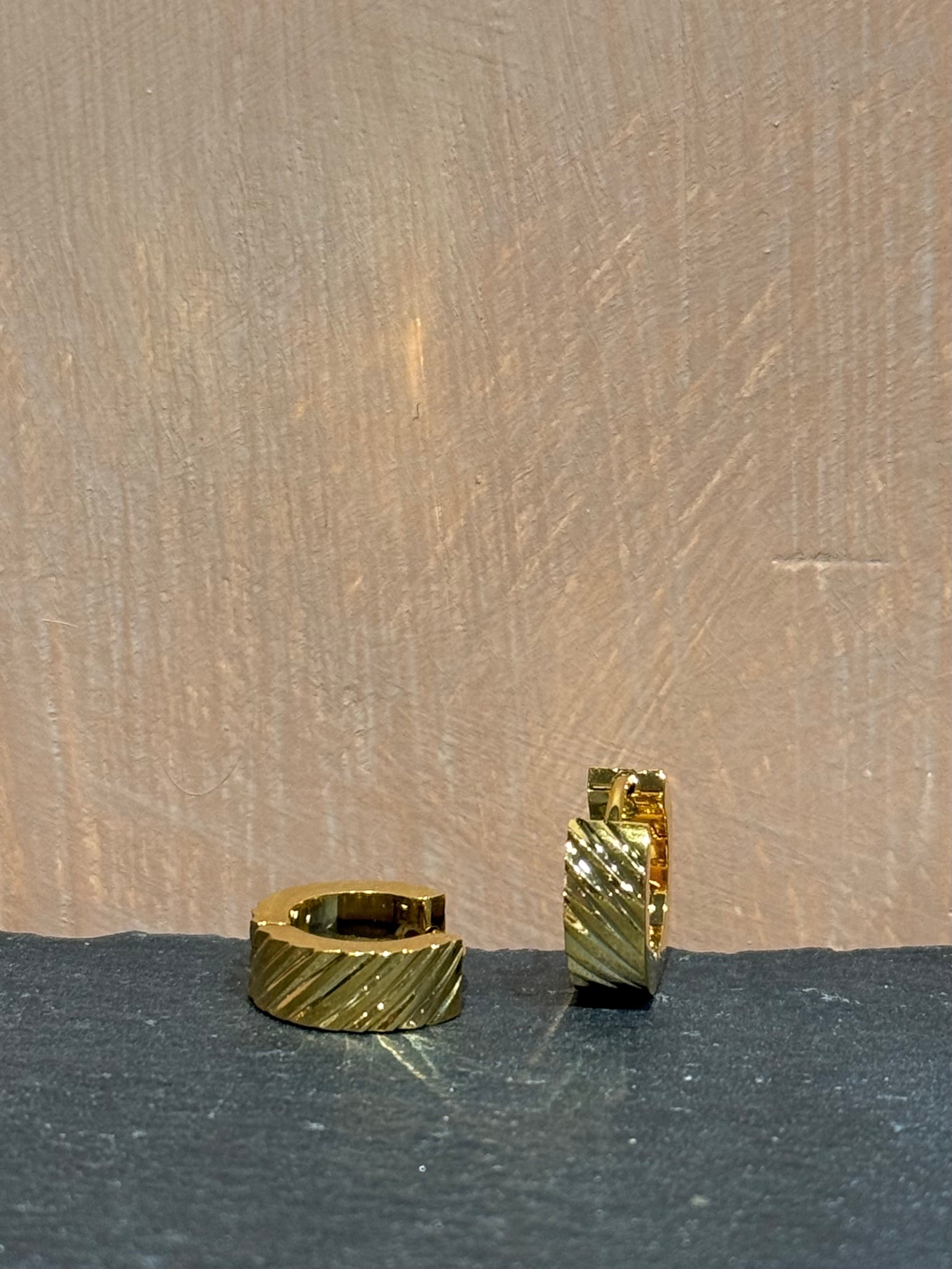 Surgical steel flat hinged hoop earrings