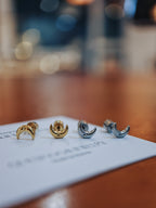 Crescent stainless steel earrings