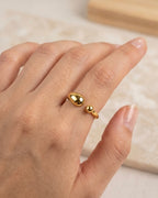 Dualis Stainless Steel Ring
