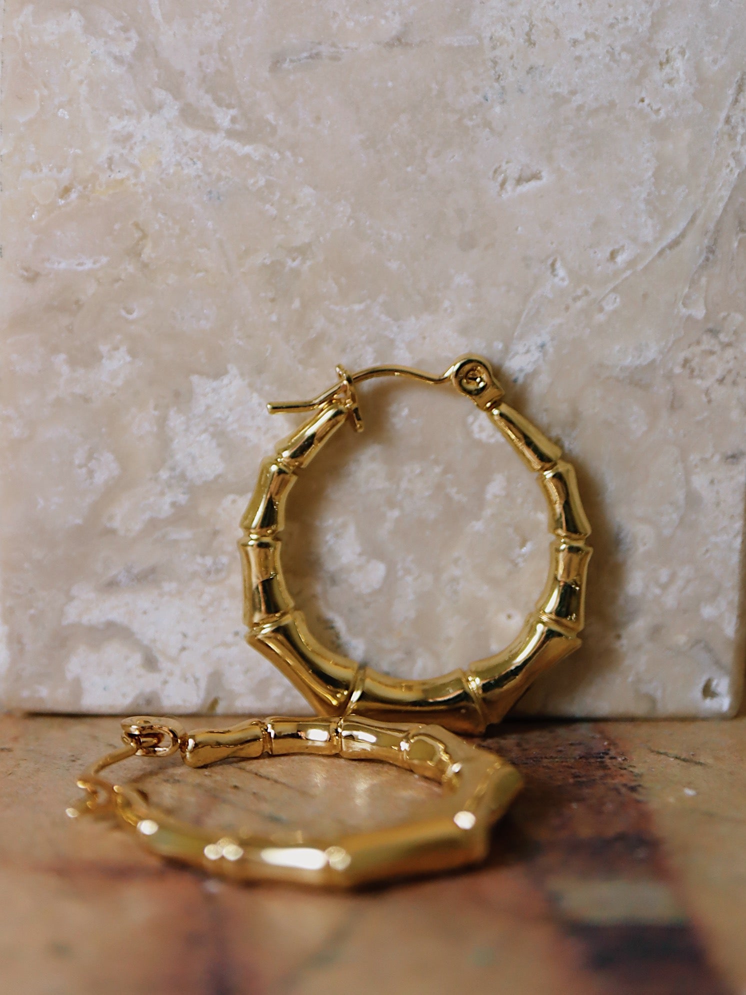 Bamboo stainless steel earrings
