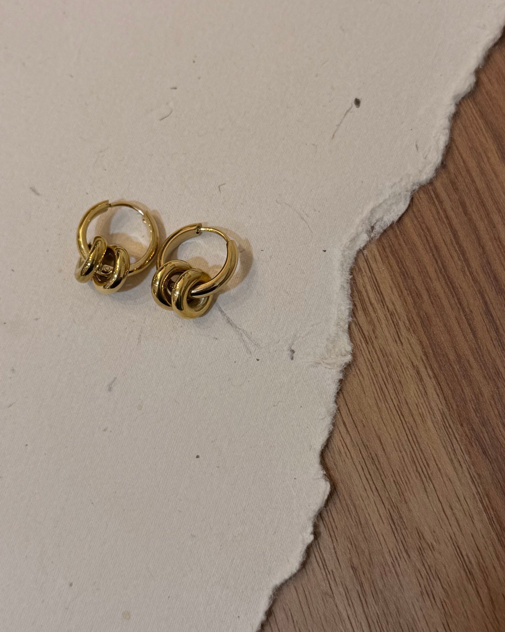 Interlock stainless steel earrings